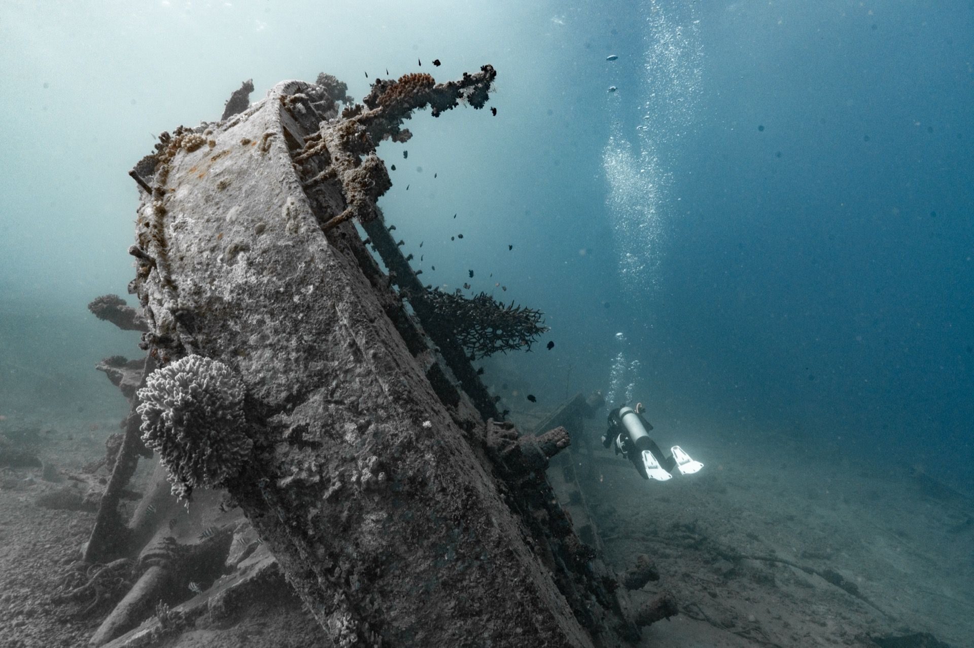 Andi Cross documenting a shipwreck dive