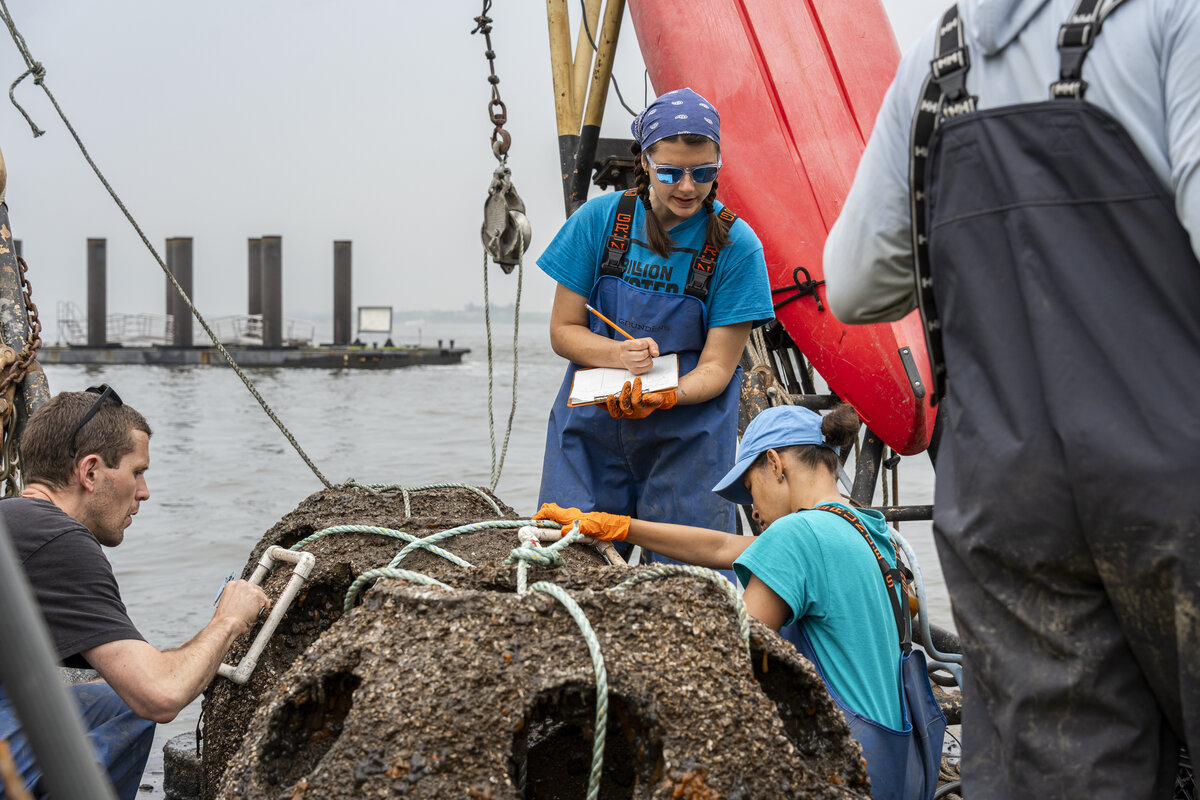 Billion Oyster Project team analyzing a reef ball in New York